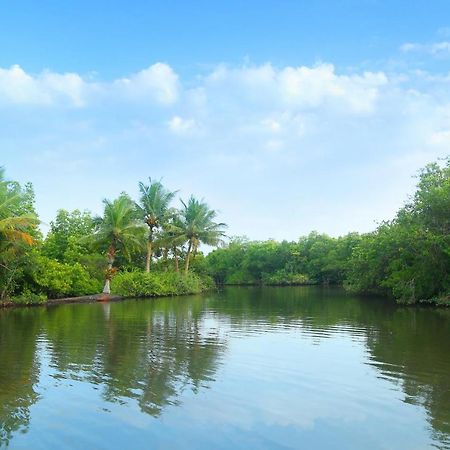 Global Lake Villa ヒッカドゥワ エクステリア 写真