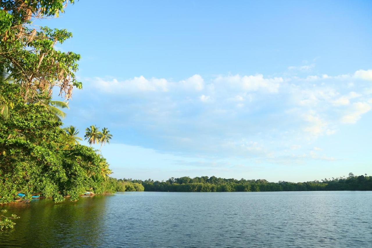 Global Lake Villa ヒッカドゥワ エクステリア 写真