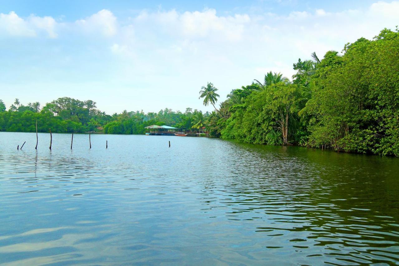 Global Lake Villa ヒッカドゥワ エクステリア 写真